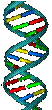 DNA.png