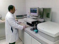 ���� �������